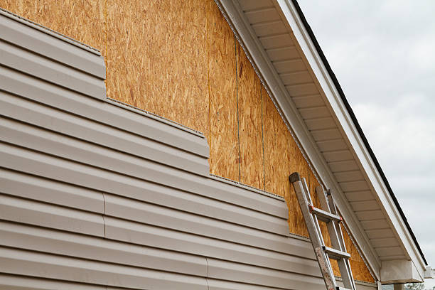 Professional Wood Siding technician working in Cortland, IL